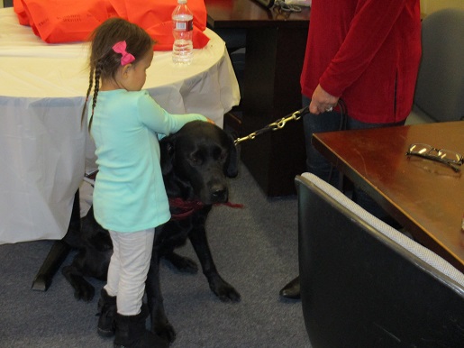 A blind child touching Bronxie the guide dog